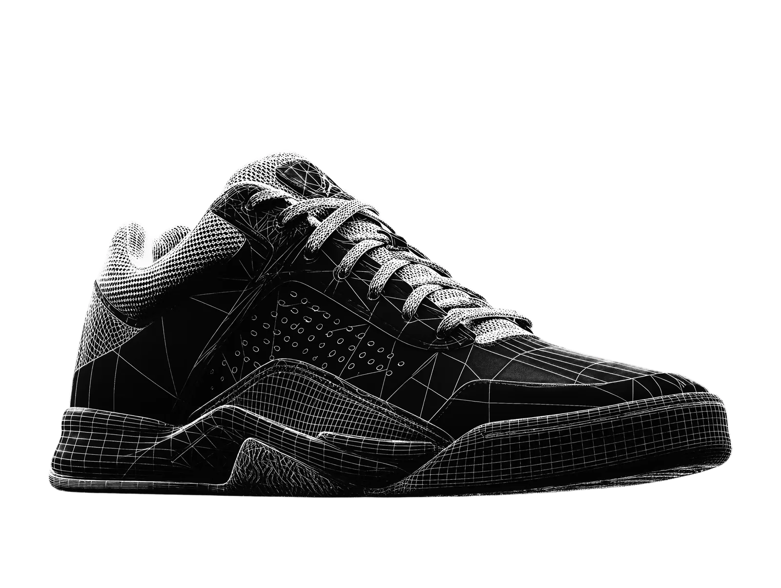 Wireframe view of the product
